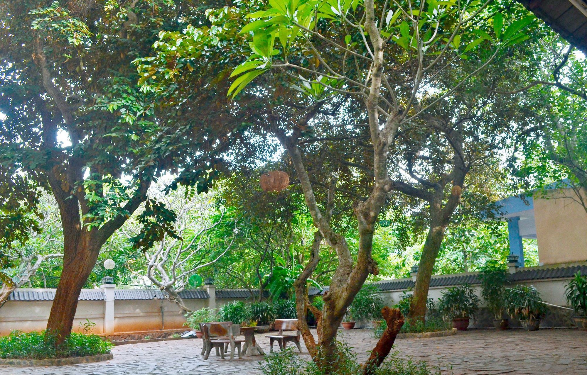 Lam Son Hotel & Apartments Vũng Tàu Exterior foto